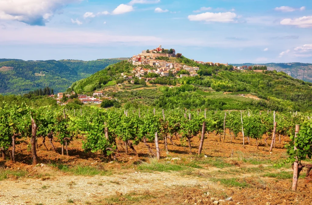 Motovun