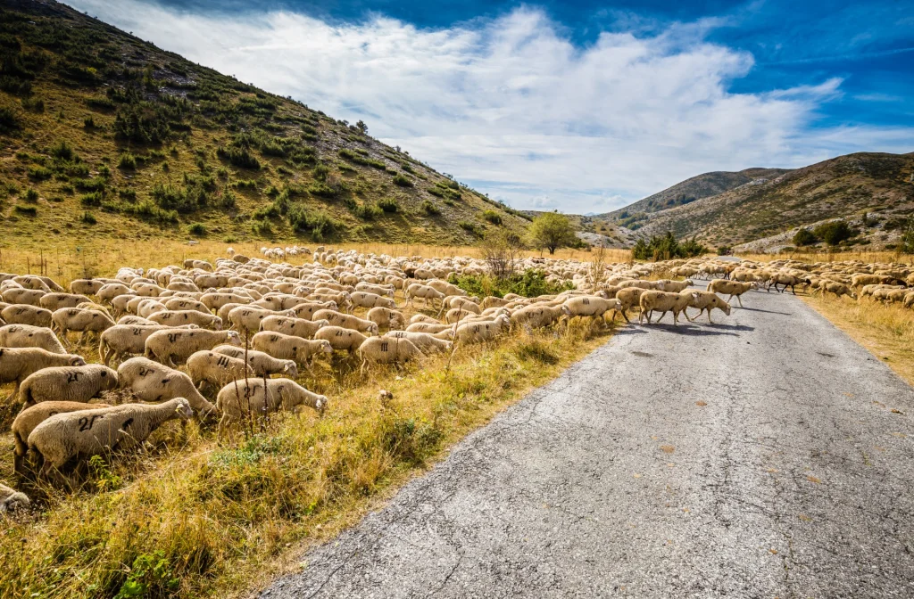 Nordmazedonien Reiseziel Mavrovo